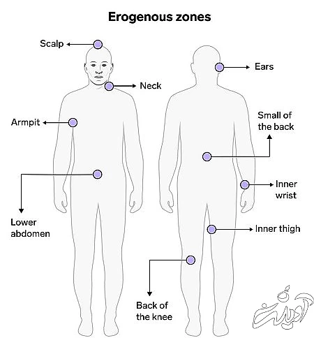 نقاط حساس بدن مردان برای بوسیدن تاثیر بوسه در رابطه تان با یک مرد, بوسه مورد علاقه شوهر, مردان کدام بوسه را دوست دارند